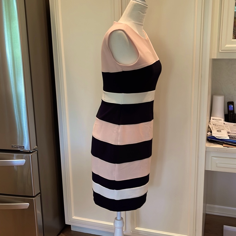 Womens Petite Dress